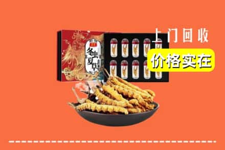 桓仁县回收冬虫夏草