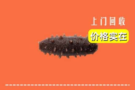 诚信求购:桓仁县高价回收海参
