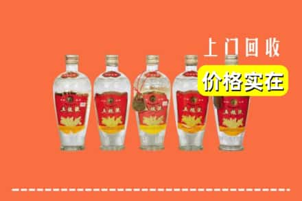 诚信求购:桓仁县高价回收老五粮液